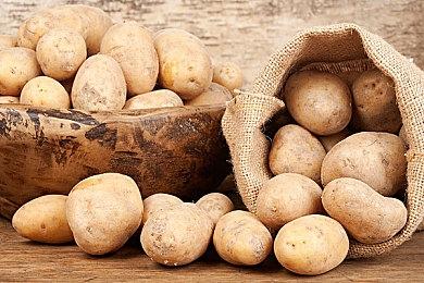 《苏菲的炼金工房2 》免费DLC第一弹 今日发布